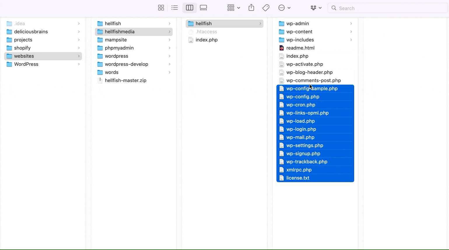 Moving the files in the file manager.
